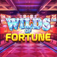 Online Casino Play Casino Games For Real Money Vulkan Vegas